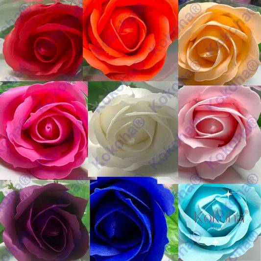 Bouquet De Roses Savon À Composer Soit Même Rose