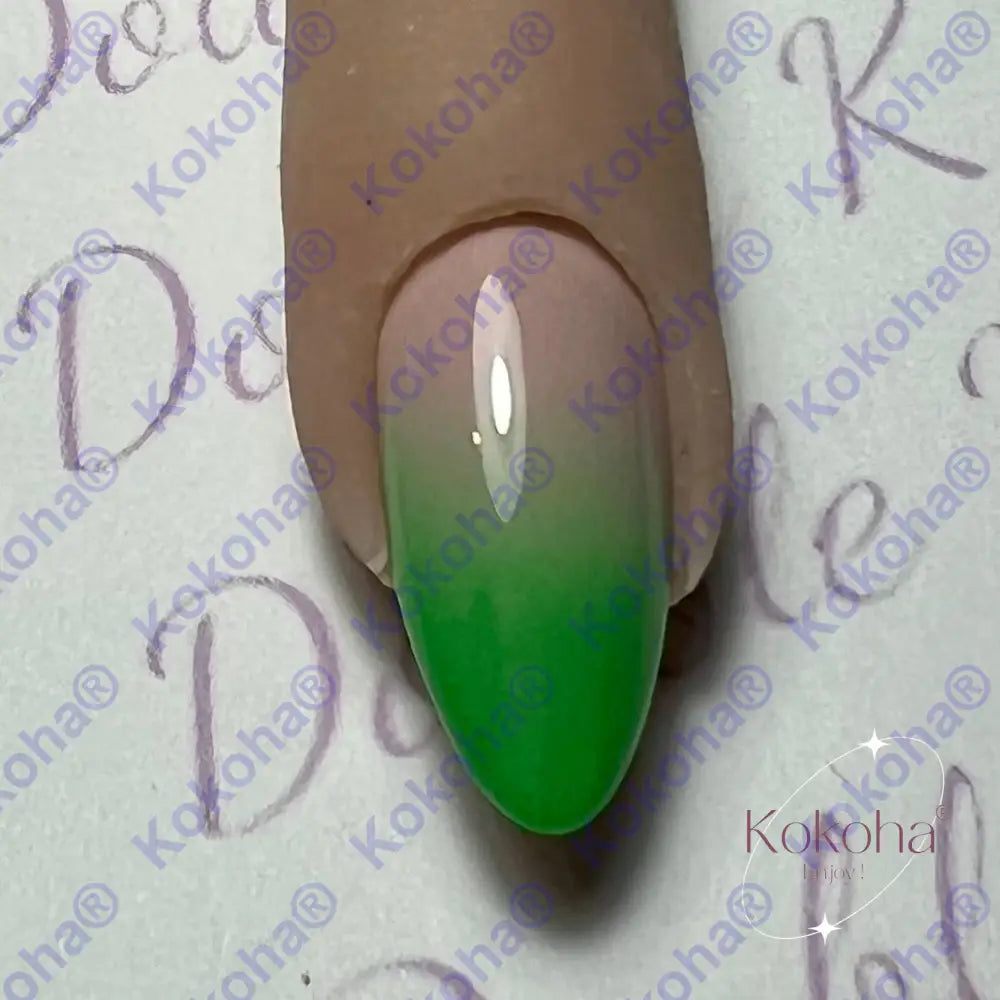 Kit De Press On Nails Bb004 Vert Désign