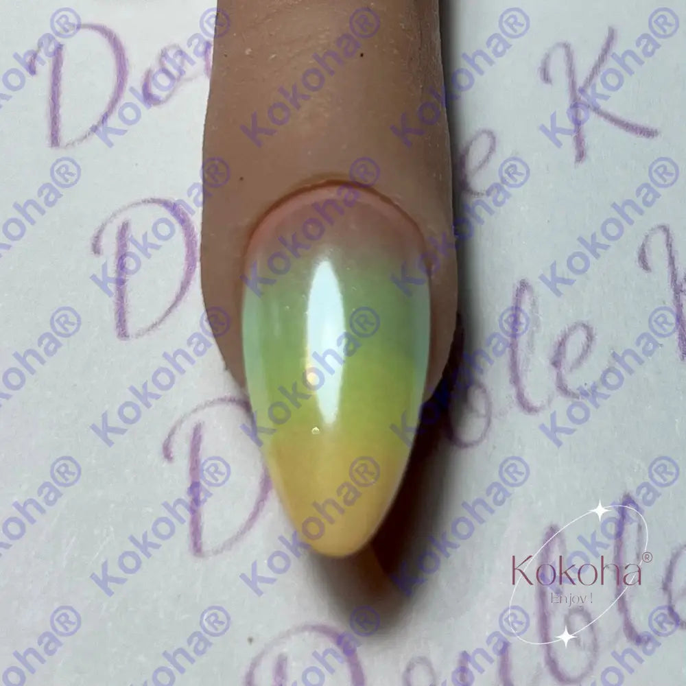 Kit De Press On Nails Et013 2 Désign