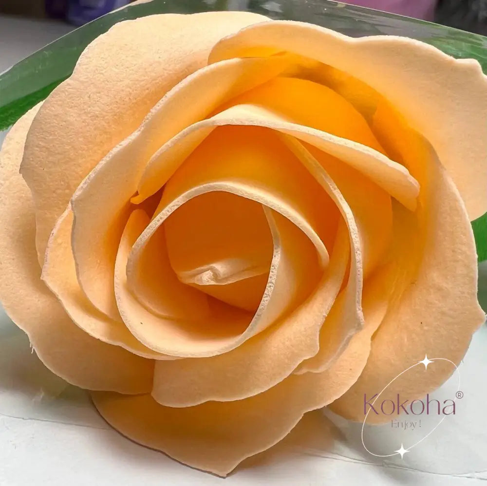 Roses de savon - Pêche - rose de savon