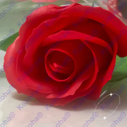Rose De Savon Rouge Rose Blanche